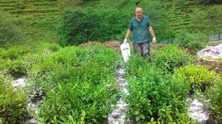 2021 Çiftçiye mazot ve gübre desteği ödeme tarihi: Çiftçiye gübre, mazot, tarımsal destek ödemesi ne zaman hangi tarihte verilecek?