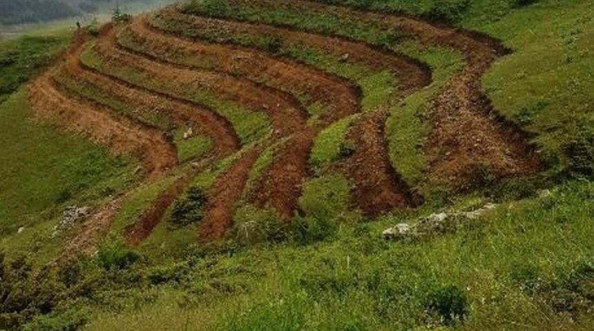 Adana’da erozyonla mücadele