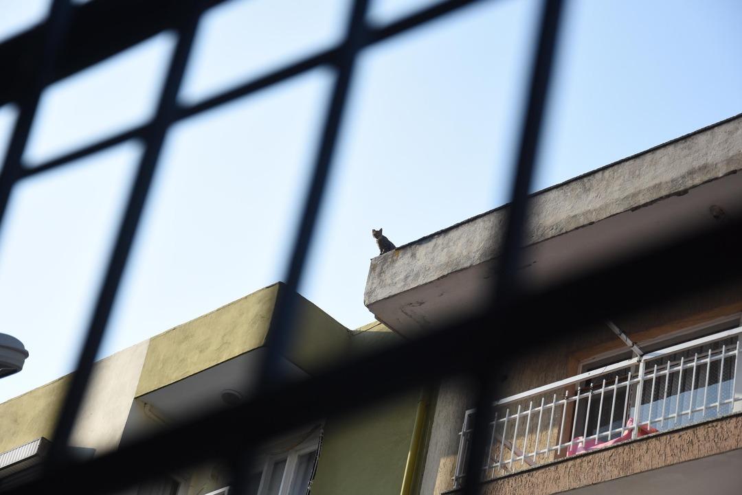 Bir mahallenin derdi! "Biri bize akıl versin" 