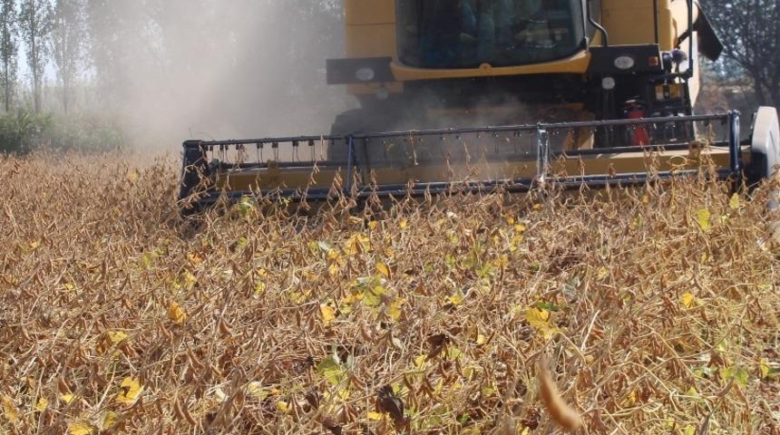 Iğdır&rsquo;da ilk kez soya hasadı