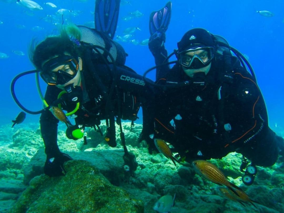 İpekyolu Belediyesi, Van G&ouml;l&uuml;&rsquo;n&uuml;n sırlarını birlikte keşfedelim&rdquo; sloganıyla dalgı&ccedil;lık kurslarını başlattı
