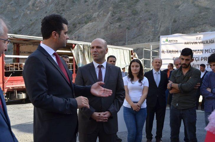 Artvin’de genç çiftçilere büyükbaş hayvan dağıtımı yapıldı G2