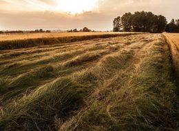 Resmi Gazete'de yayımlandı! Dev proje için acele kamulaştırma kararı