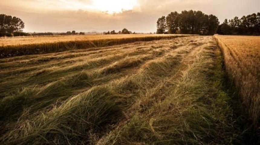 Resmi Gazete'de yayımlandı! Dev proje için acele kamulaştırma kararı