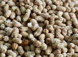 'Çemişgezek Ulukale Dutu' tescillendi