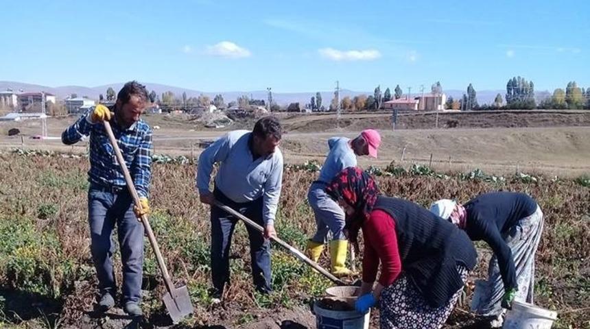 &Ccedil;ıldırlı &ccedil;ift&ccedil;iden Patates tedbiri