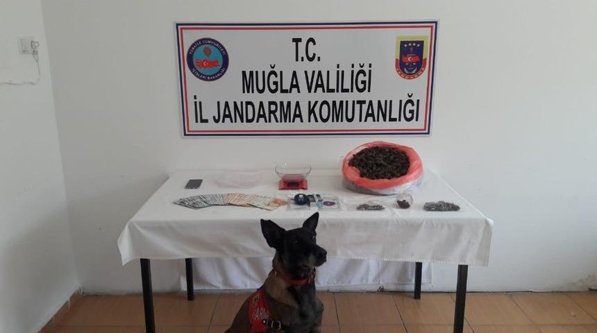 Milas&rsquo;ta uyuşturucu operasyonu