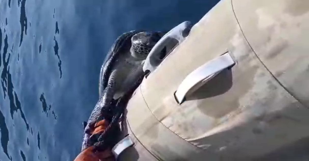 B&ouml;yle vicdansızlık g&ouml;r&uuml;lmedi!