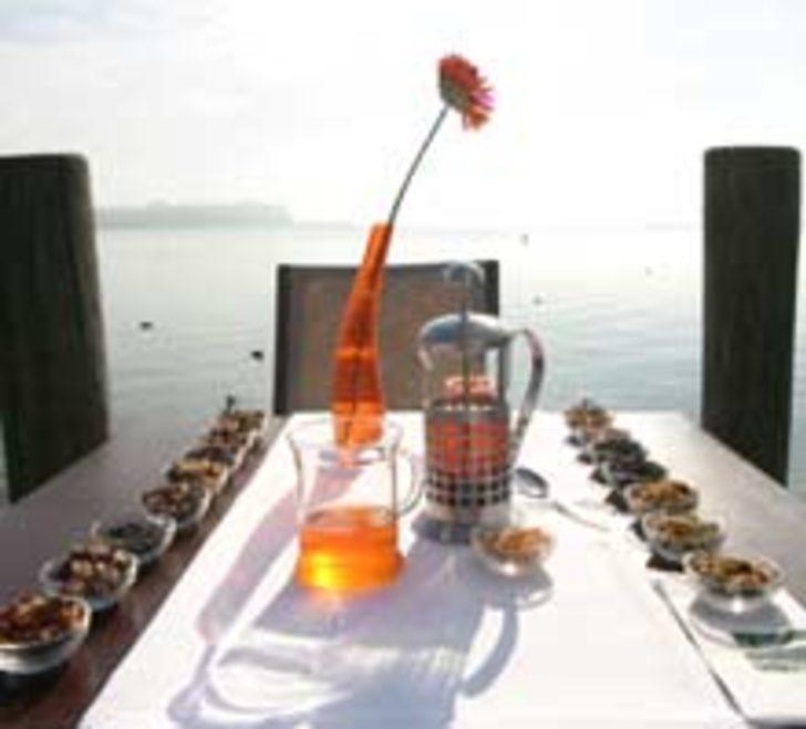 S&ouml;ylemsiz Aşk &Ccedil;ayı