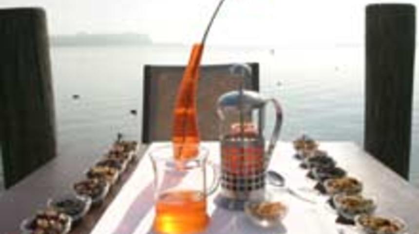 S&ouml;ylemsiz Aşk &Ccedil;ayı