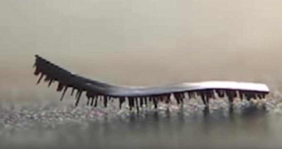 Tırtıl robot geleceği değiştirecek