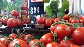 'Sofranın kralı' domates tarlada 3, İstanbul’da 8 lira