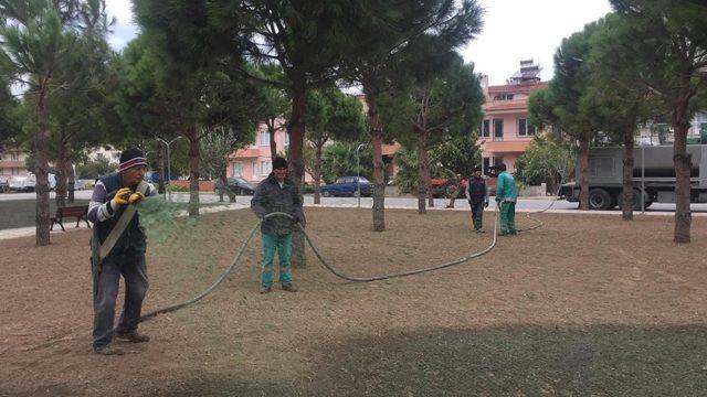 Burhaniye’ de parklara son sistem çimlendirme yapılıyor