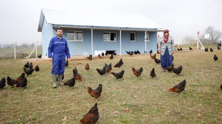 Kocaeli&rsquo;nde gen&ccedil; &ccedil;ift&ccedil;ilere hibe tavuk desteği