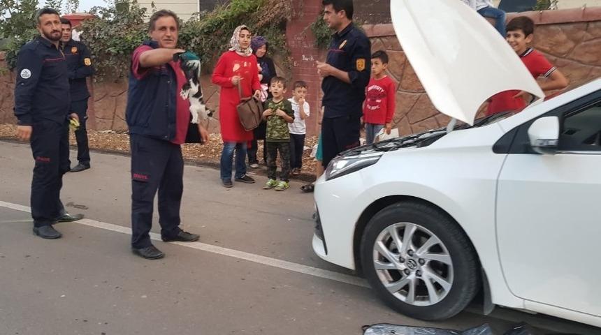 Otomobilin motoruna sıkışan kediyi itfaiye ekipleri çıkardı