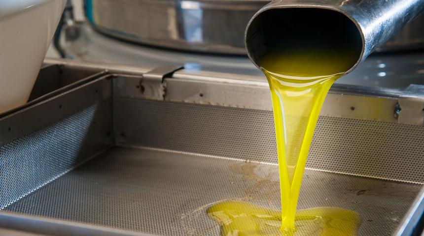 Kandırılmayalım! Zeytinyağdaki hileleri ortaya döken 5 önemli nokta