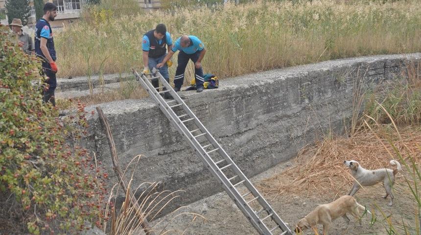 Havuza d&uuml;şen k&ouml;pekleri itfaiye ekipleri kurtardı