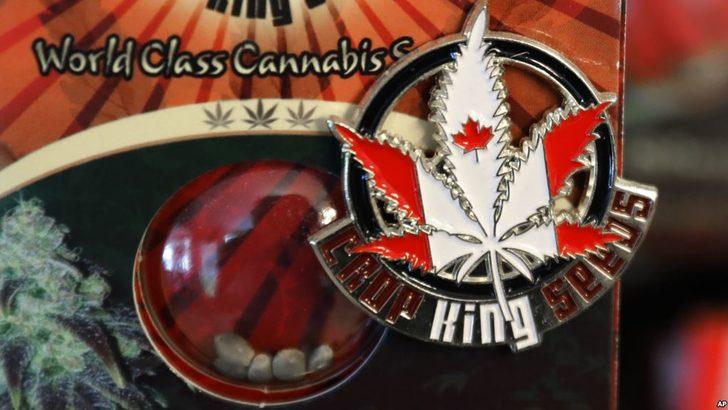 Kanada hepten 'yeşil'lendi G4