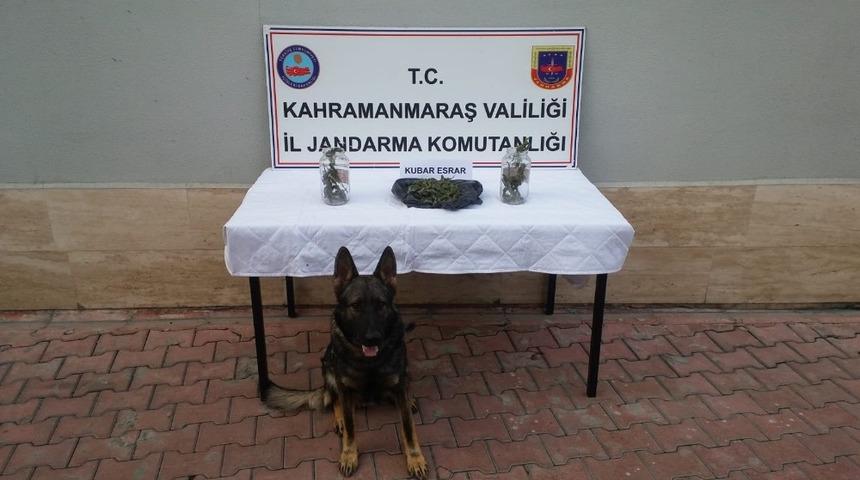 Kavanozdaki uyuşturucuyu &lsquo;Atos&rsquo; buldu