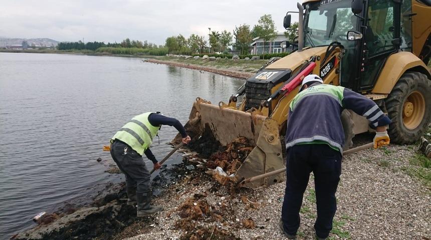 Kocaeli sahillerinden 4 g&uuml;nde 12 kamyon &ccedil;&ouml;p temizlendi