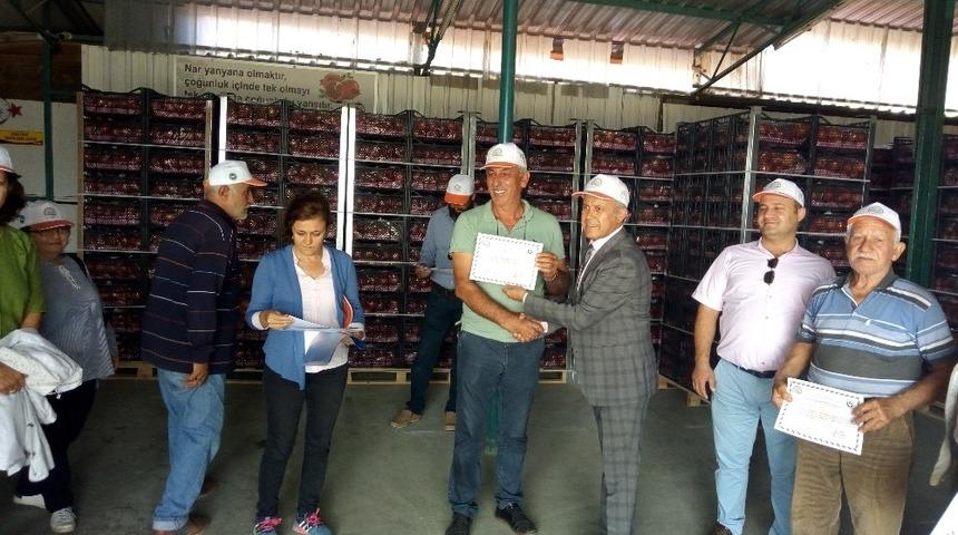 Nar entegre m&uuml;cadele &uuml;reticilerine sertifika