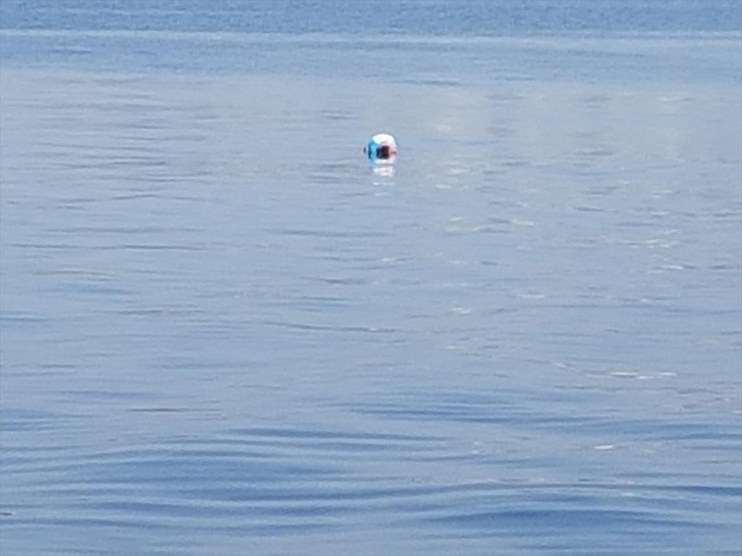 Denizde b&ouml;yle bulundu! Hareketsiz duruyordu