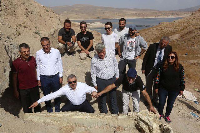 Kayseri de 7,4 milyon yıllık&nbsp;fil kafatası bulundu 2