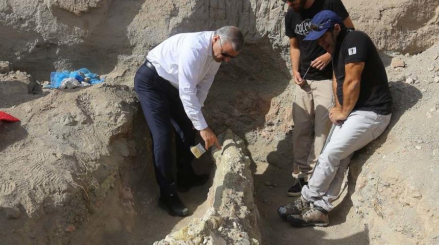 Kayseri'de 7,4 milyon yıllık&nbsp;fil kafatası bulundu
