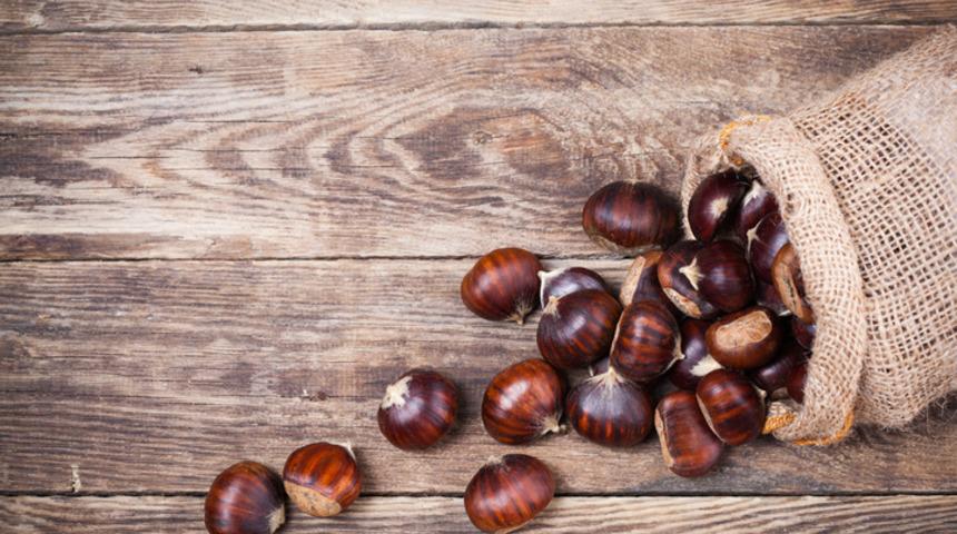 Kestanenin faydaları: Kestane ve kestane balı nelere iyi gelir, faydaları nelerdir? 