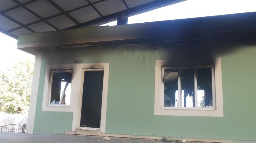 Ceylanpınar&rsquo;da palmiye ağa&ccedil;ları tahrip edildi