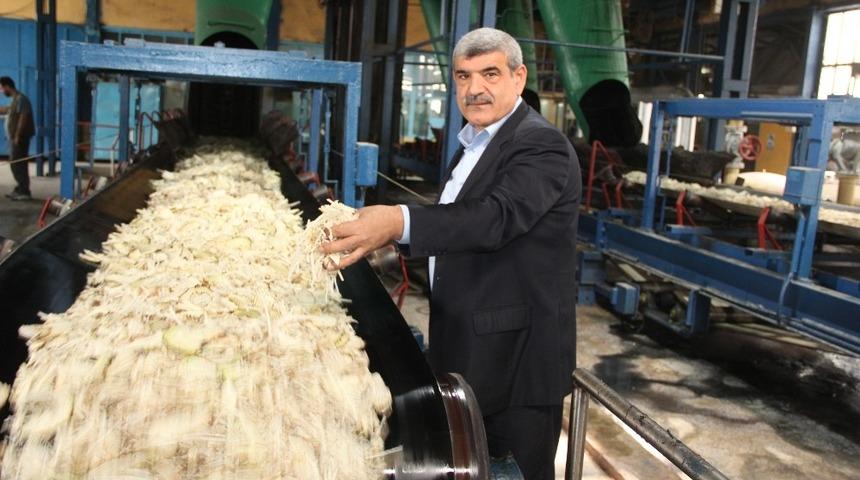 Şeker fabrikası pancar alımı