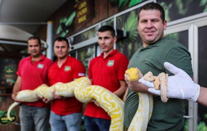 Antalya'dan şaşırtan görüntü  G4