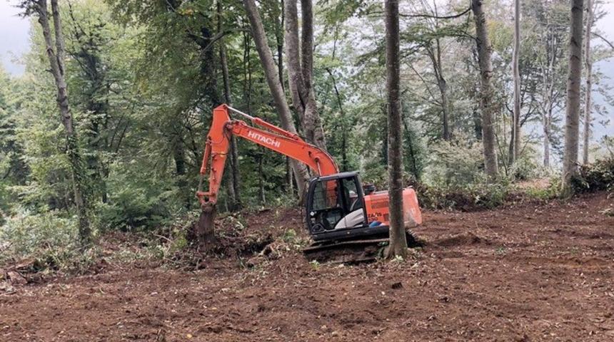 Sahada yeni tohumlar &ccedil;ıkacak