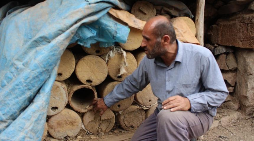 Sasonlu arıcılar &uuml;zg&uuml;n