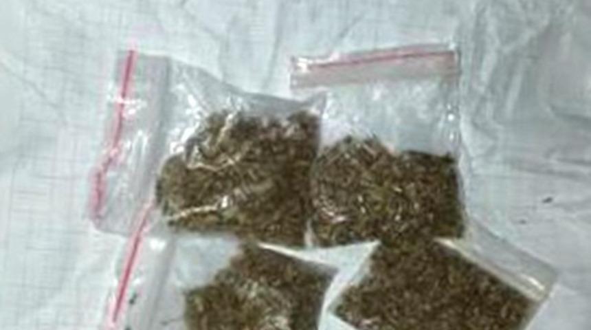 Uyuşturucu kullandıkları esnada jandarmaya yakalandılar