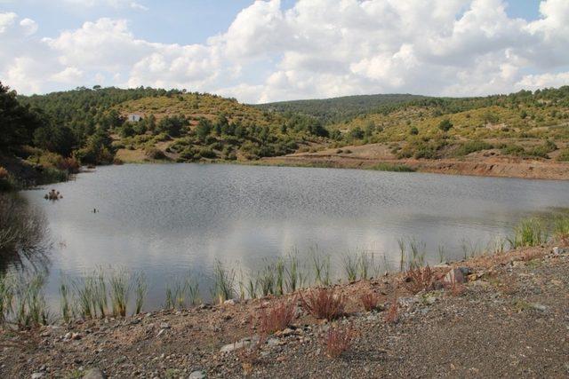 Kuraklığa karşı gölet ve havuz projeleri