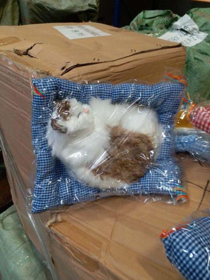 İstanbul'da "sağlığa zararlı" 15 bin oyuncak ele geçirildi  G4