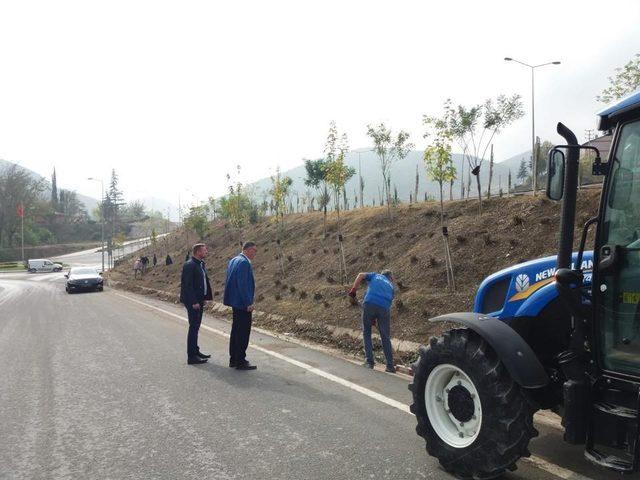 Vezirhan’da ağaçlandırma çalışmaları devam ediyor