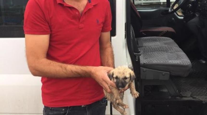 Adıyamanlı vatandaştan &ouml;rnek davranış