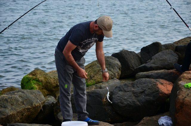 Amat&ouml;r balık&ccedil;ılar sahile akın etti 2