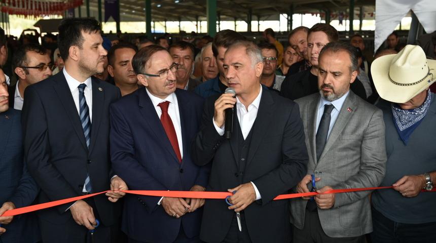 Güney Marmara'nın en büyük canlı hayvan pazarı açıldı