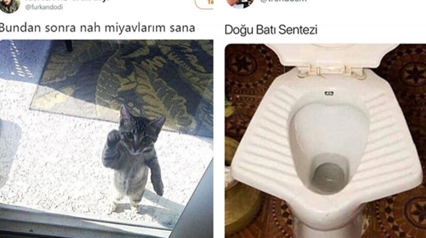 İhtiyacınız olan kahkaha için haftanın en komik Tweet'leri