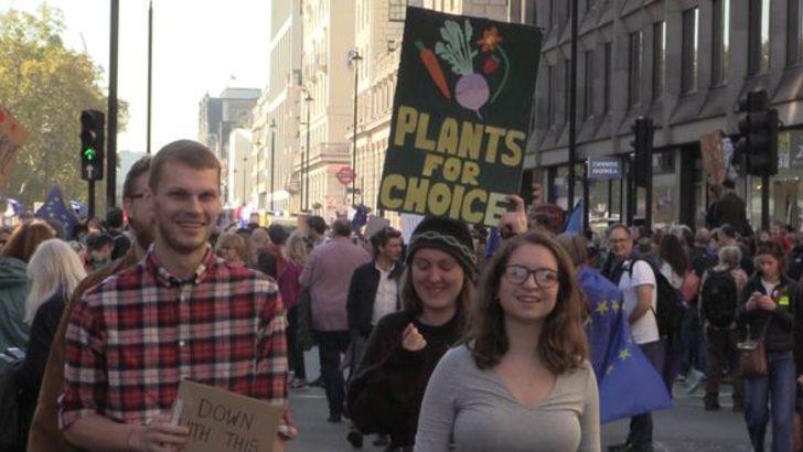 İngilizler sokağa döküldü  G5