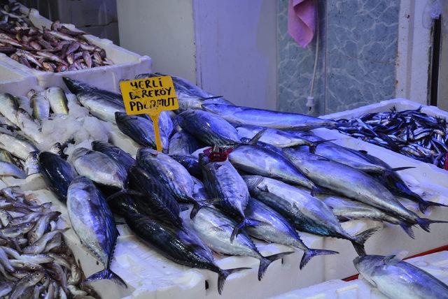 Karadeniz'de son 10 yılın en bereketli palamut sezonu