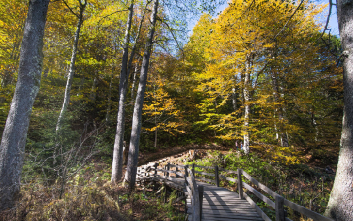 Karagöl muhteşem manzarasıyla ziyaretçilerini hayran bırakıyor G4