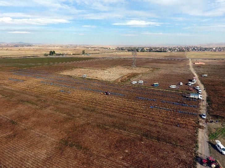 Kayseri’de patates hasadı devam ediyor G2