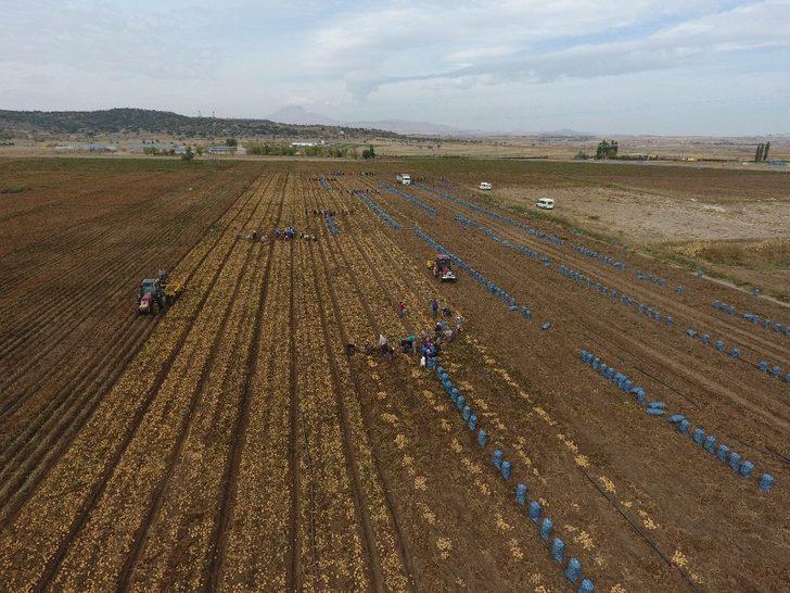 Kayseri’de patates hasadı devam ediyor G3