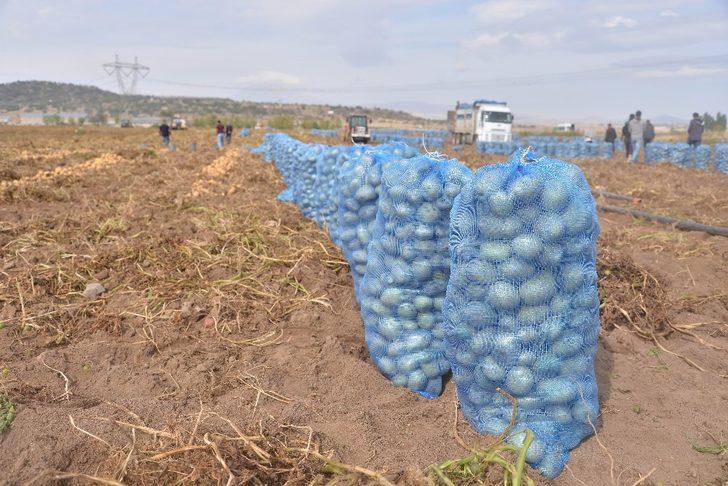 Kayseri’de patates hasadı devam ediyor G4