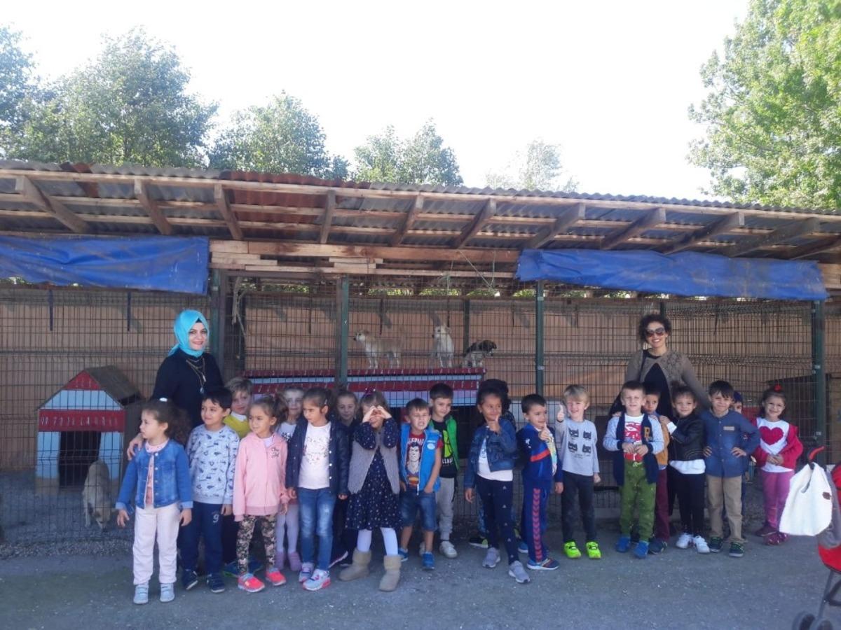 Anaokulu &ouml;ğrencilerine hayvan sevgisi aşılandı