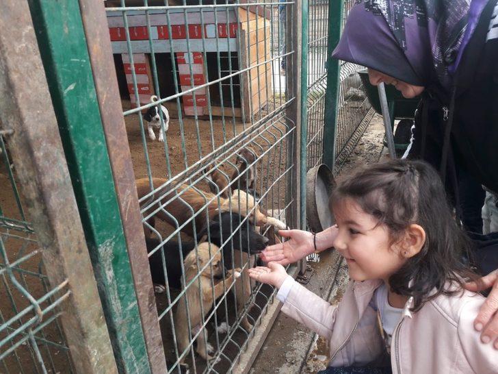 Anaokulu öğrencilerine hayvan sevgisi aşılandı G2